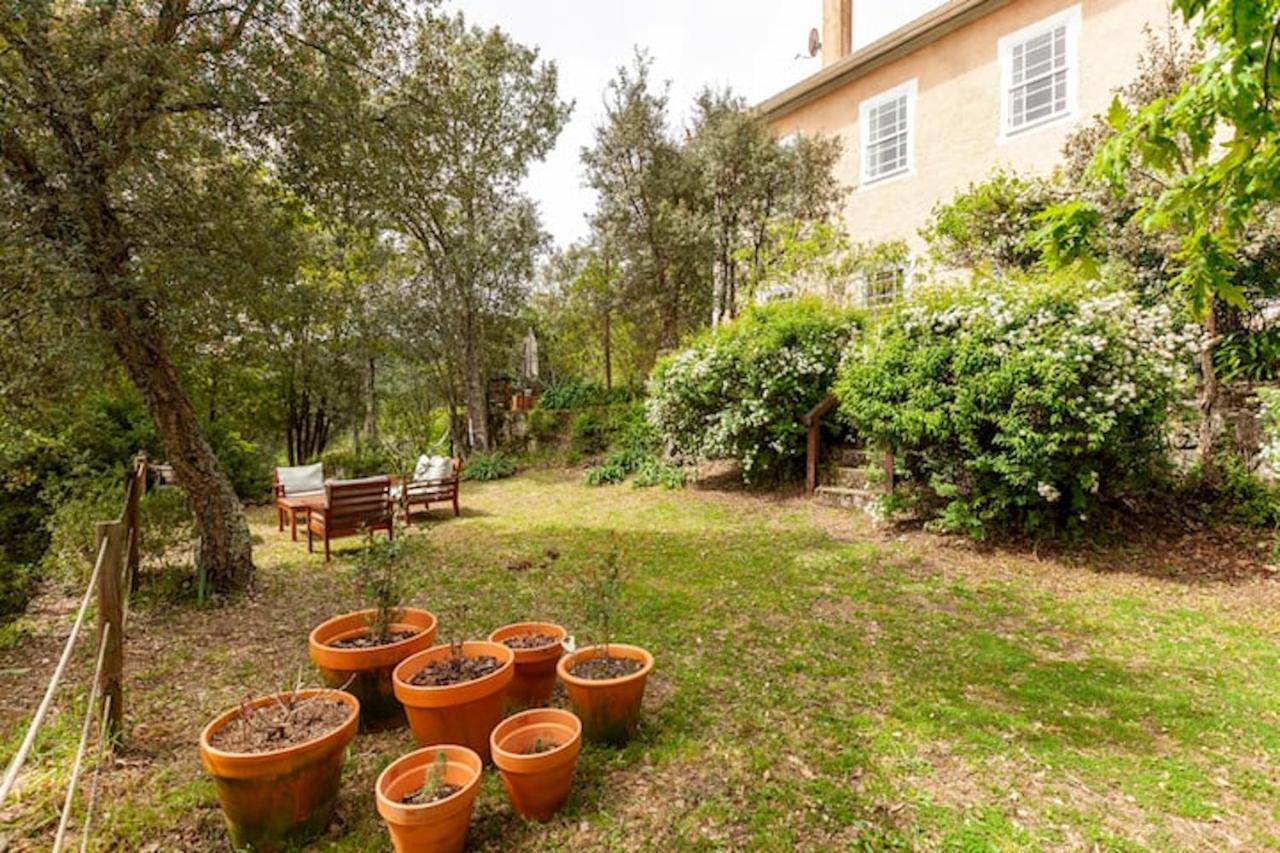 Casa Do Cabeco Bed & Breakfast การามูโล ภายนอก รูปภาพ